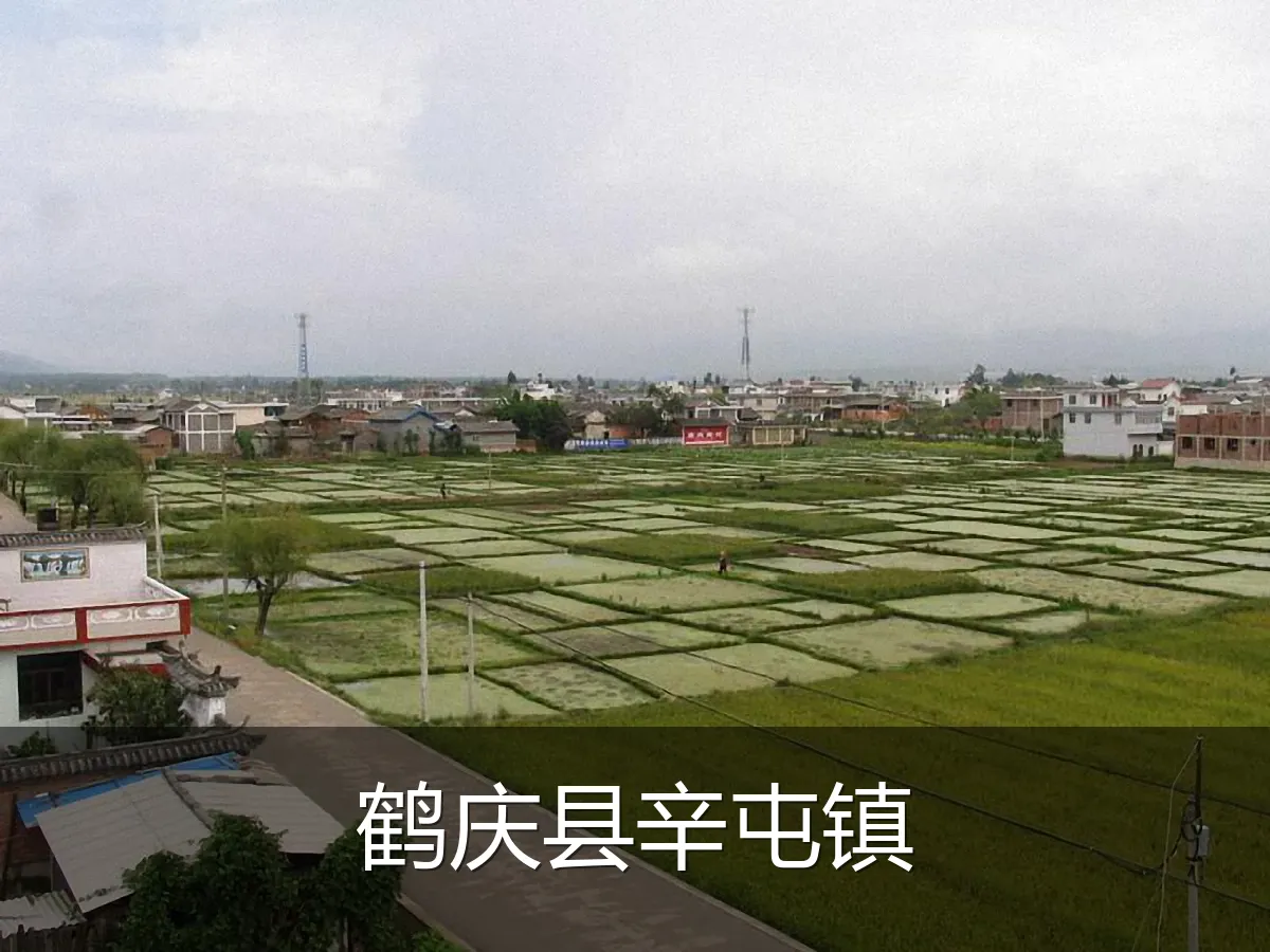 鹤庆县辛屯镇